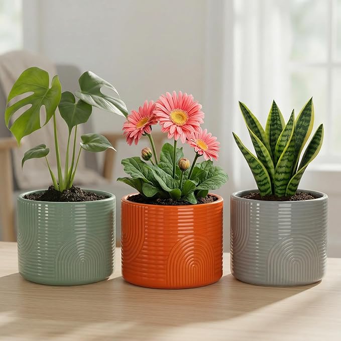 6 Inch Ceramic Plant Pot – Decorative Indoor Planter (No Drainage Hole) for Succulents, Herbs & Houseplants – Modern Tabletop Desk Planter – Sage Green