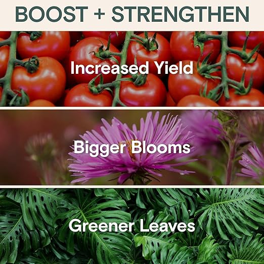 Organic Liquid Plant Food & Fertilizer – Indoor/Outdoor for Houseplants, Vegetables & Flowers, Monstera & Money Tree – OMRI Listed, Pollinator Safe – Easy Weekly Mix (Nutrition & Health Set)