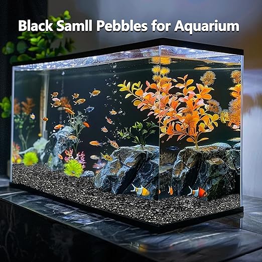 15LB Black River Rocks, 0.5–1.0 inch Pebbles for Indoor Plants, Aquarium Rocks, Fish Tank Gravel, Planters, Decorative Stones for Vase Fillers & Garden Landscaping Highly Polished
