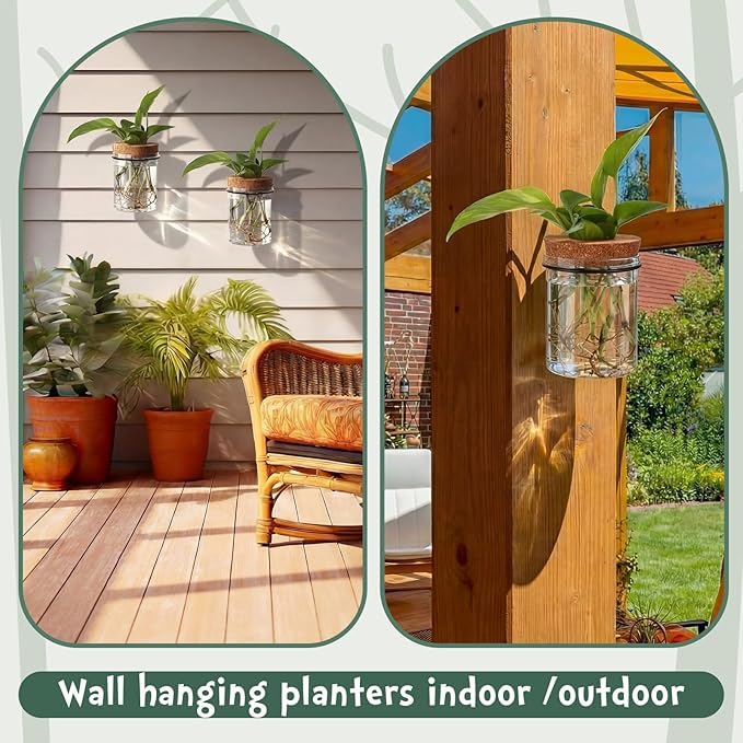 Baderke 6 Set Wall Plant Holder with Plastic Propagation Vases Hanging Planter Wall Mounted Set for Plants Growing in Water Hydroponic Artificial Plants Indoor Decor (3.54" X 4.33",Stylish)