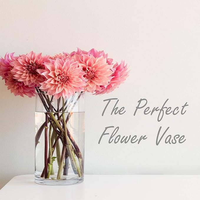 CYS Excel Large Glass Cylinder Vase (H:12" D:8") Flower Vase Centerpieces Hurricane Floating Pillar Candle Holder Terrarium Planter
