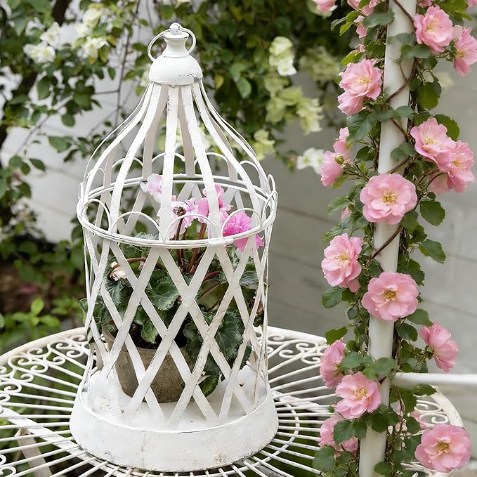 Rustic Metal Planter Holder Vintage Iron Birdcage Flower Planter Farmhouse Metal Climbing Vine Stand Antique Candle Holder Decoration for Garden Patio Balcony Outdoor Indoor Decor (style#6)