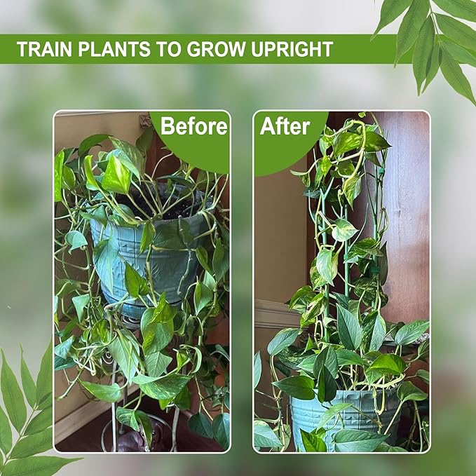 Plant Support Stakes for Indoor Plants,Trellis for House Potted Plants Flower,Monstera Support Sticks with Orchid Clips,Twist Ties(2 Pack Brown)