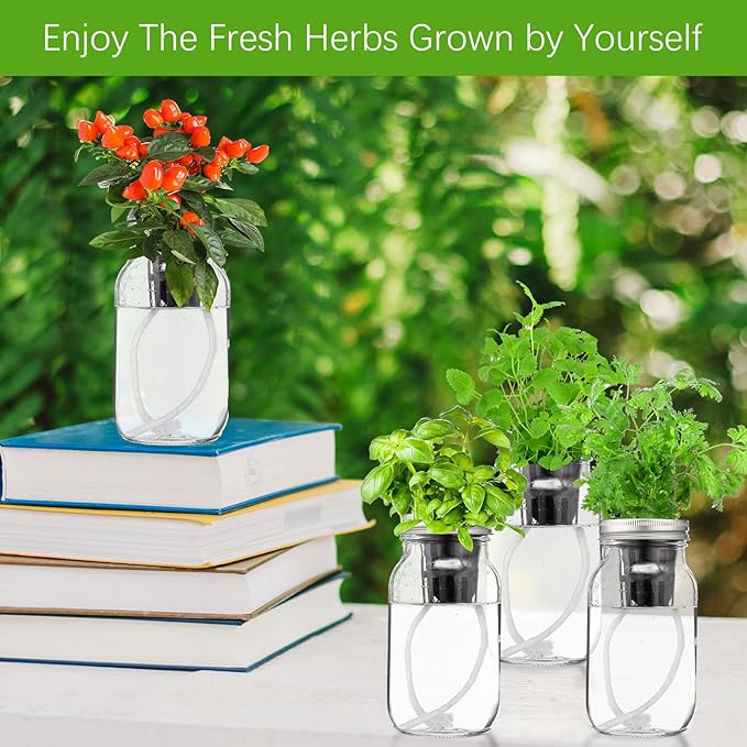 6 Set Hydroponic Herb Garden Planter Indoor Kit, Include 6 Self Watering Mason Jars 6 Planting Baskets 6 Pre Sown Growth Plugs and 6 Absorbent Cores Herb Growing Kit for Practical Gardening