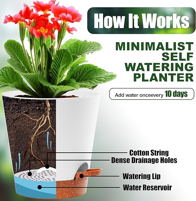 Self Watering Planter Pots Set of 5-7", 6.5", 6.02", 5.55", 5.08" Indoor & Outdoor Flower, Herb, and Succulent self Watering pots with Saucer Reservoir, Drainage System, and Modern White Design