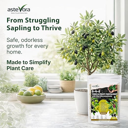 Olive Tree Fertilizer – Fruit Tree Fertilizer for Olive Tree, Citrus, Lemon, Lime, Fig, Avocado, Mango, Apple & Pomegranate – for Potted & Outdoor Trees (5 quarts - 10 lbs.)