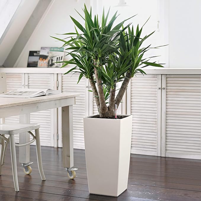 Lechuza 13130 Cubico Color 30 Self-Watering Planter for Indoor and Outdoor Use, 12" x 12" x 22", White Matte