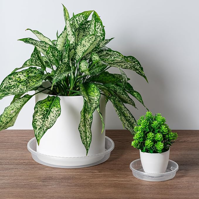 Plant Saucer - 6 Pack 6 Inch Plastic Plant Trays for Pots with Plant Tray Design - Plant Saucers for Indoors and Outdoors No Holes Use - Plastic Plant Saucer for Potted Plants - Plant Drip Trays