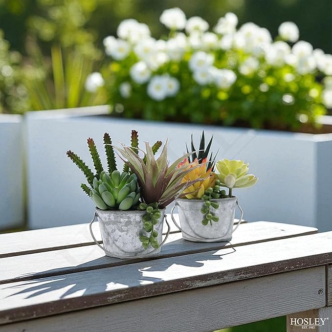 Hosley Set of 6 Mini Oval Tub Galvanized Planter 3.8 Inches Long Ideal for Floral Arrangements DIY Craft and Floral Projects Gifts Baskets Party Favors P9