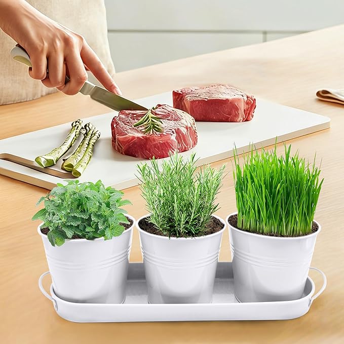 TCBWFY Indoor Herb Garden Planter Set, 3-Pack 4.7 Inch White Metal Plant Pots with Drainage Holes & Removable Tray, Windowsill Planter for Kitchen Countertop, Balcony, Office