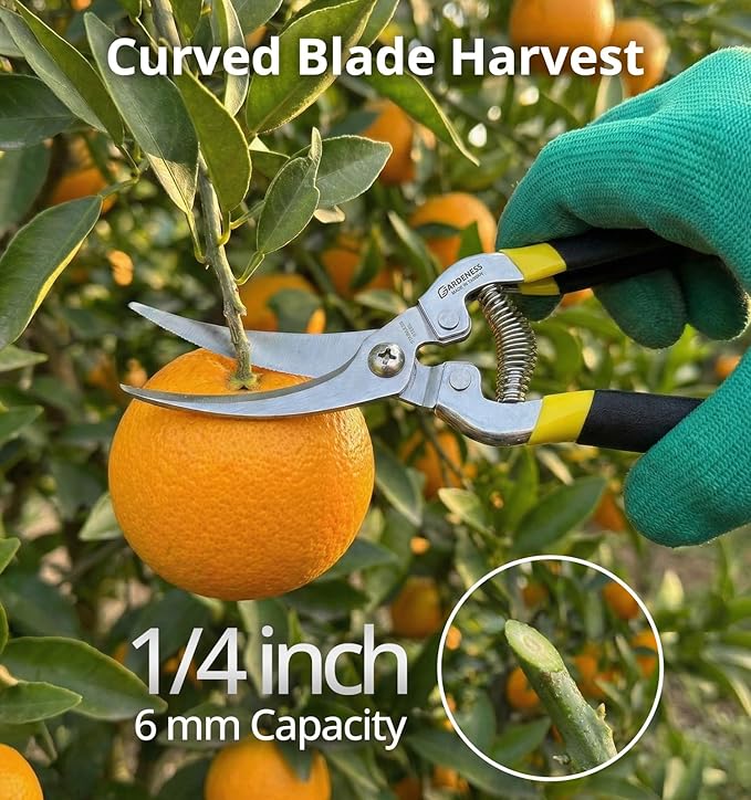 Gardeness Gardening Scissor 12 PCS Curved Stainless Steel Serrated Blade Pruning Shear, harvest shears picking shears Pruning Snip Harvesting Fruit Picking, Mandarins, Lemons and Grape