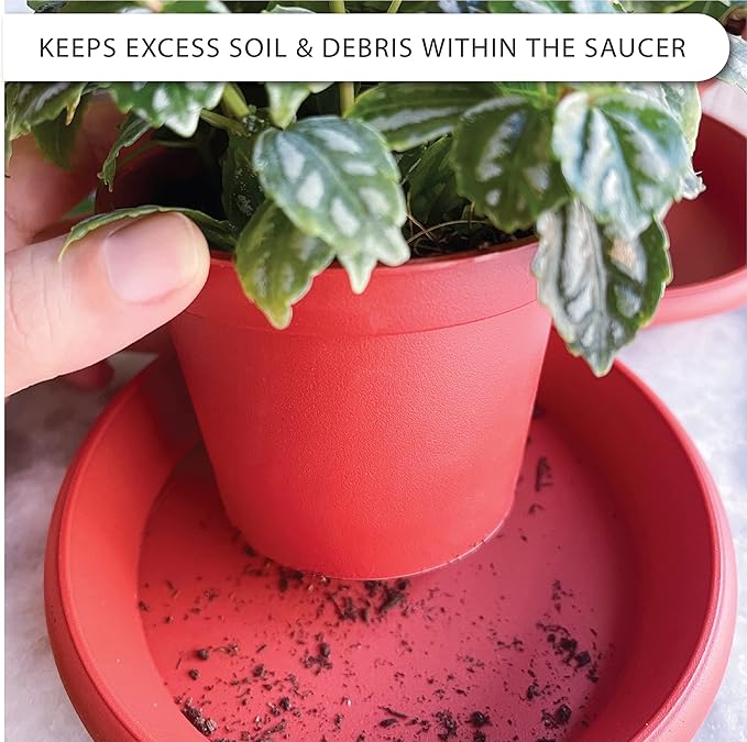 Plant Saucer 6 Pack Drip Trays Planter Pot Base Heavy Duty Plastic Drainage Tray for Indoor Houseplants Outdoor Garden 5 inch 8 inch 11 inch 3 Sizes 2 Each Round (Terracotta)
