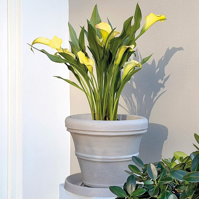 Crescent Garden Brunello Classic Rolled Rim Planter Pot, Indoor/Outdoor Weather-Safe Round Plant Pot, Premium Plastic Flowerpot for Houseplants, Herbs - 16''W (Parchment)