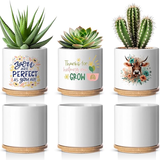 6 Pcs Sublimation Flower Pot Blanks Mini 2.95 in Garden Ceramic Succulent Planter Pot with Bamboo Tray with Drainage Hole Thank You Gift for Christmas Thanksgiving Day Plant Lover Women