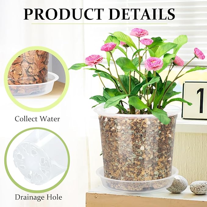 20 Pack 6 Inch Clear Nursery Pots with Drainage and Saucer, Clear Plastic Planter Pots for Plants, Flexible Seed Starting Pots for Succulents, Small Herbs, Annual Flowers (6 Inch)
