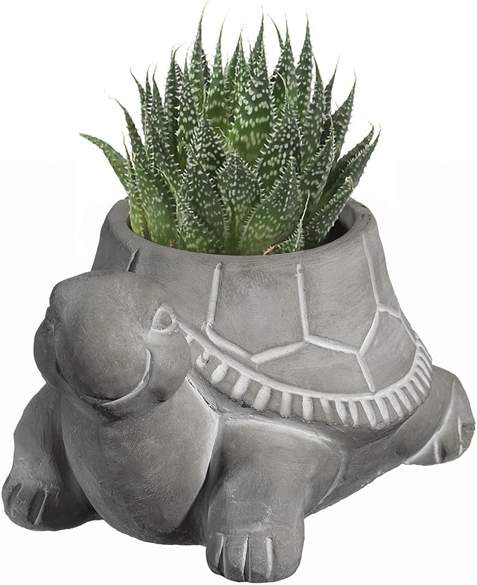 Classic Home and Garden Cement Buddies Animal Planter - Cute Desk Decoration - UV Coated Animal Vase w/Removable Drain Plug -Succulent Planter for Indoor/Outdoor Use (Turtle Planter, Natural, Small)