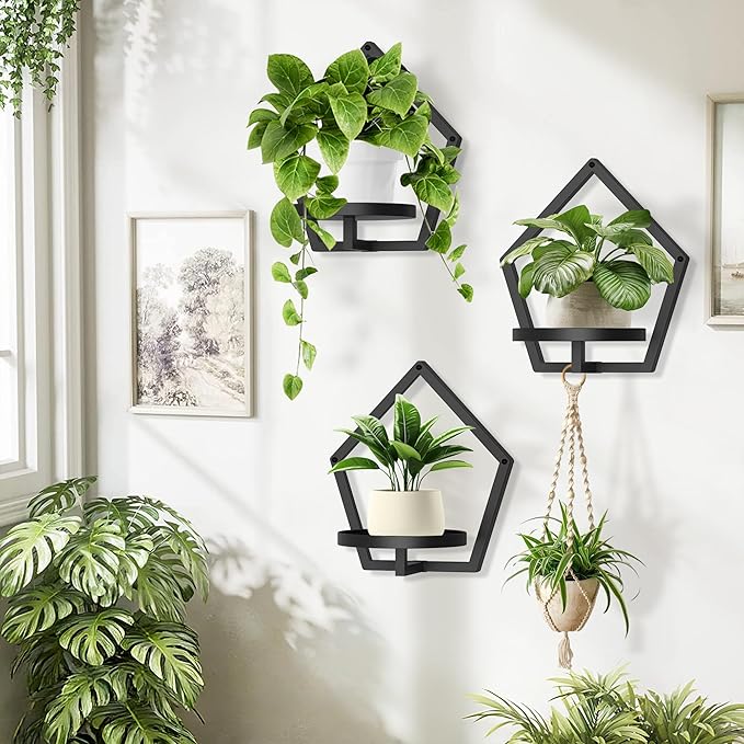 2 Packs Wall Hanging Planters for Indoor Plants, 7.9inch Metal Wall Plant Holder Hanger Wall Decor, Wall-Mounted Hanging Planters Window Plant Shelves Outdoor(Black)