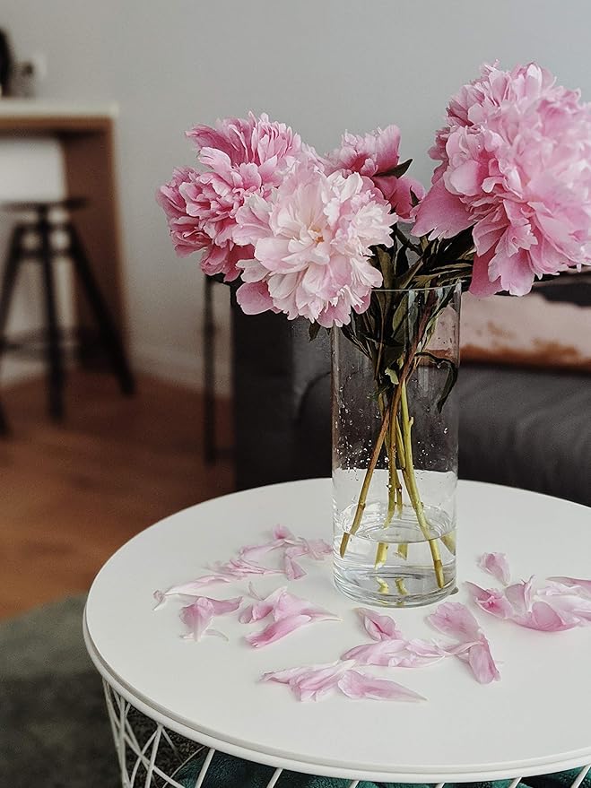 WGV Quality Thick Cylinder Vase, Diameter 5", Height 12", Clear Glass Floral Planter Container, Tall Centerpiece Arrangement for Wedding Home Decor, 1 Piece