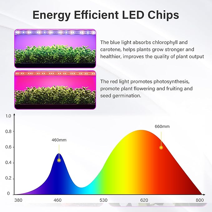iPower 20W LED Grow Light Strips for Indoor Plants with Auto ON/Off 3/9/12H Timer 10 Dimmable Levels 48 LEDs Per Tube Sunlike Grow Lamp for Hydroponics Succulent, Red&Blue