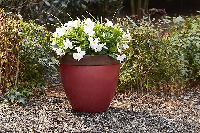 Southern Patio Hornsby Resin Outdoor Planter with Drainage Hole and Plug, Red
