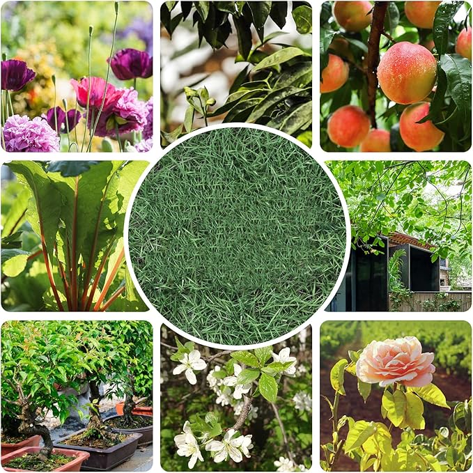 garden scissors, pruning shears for gardening, lightweight plant clippers, for hedge, bonsai, floral, small stem, orchard and vegetable, 1 pack