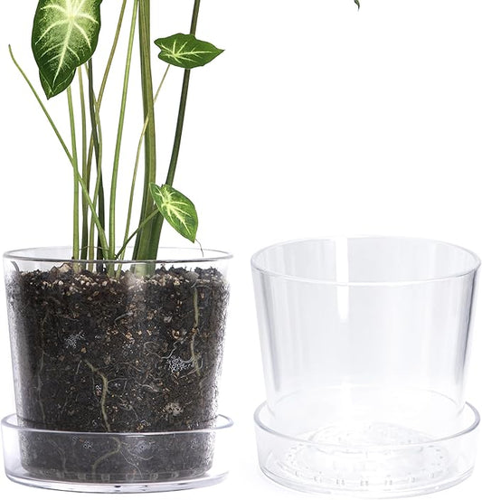 Phoenix Vine 8 Inch Clear Acrylic Planter Pot with Tray, Orchid Pot with Drainage Holes, Deep Saucer for Bottom Watering, Transparent Containers for Indoor Plants, Herbs, Set of 2, 91-A-G-2