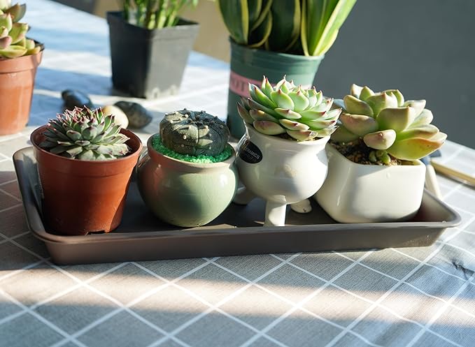 6 Pack Plastic Plant Saucer, Rectangular, Indoors Outdoor, Drip Tray for Flower Pot, Windowsill (6.5 X 13 Inch, Brown)