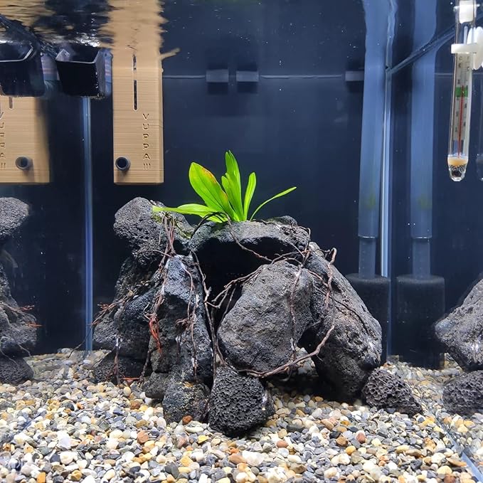 Black Lava Rocks for Aquarium Fire Pit Succulent Planters Bonsai Landscaping Garden Décor 5lb Lava Stone for Fish and Plants(3pcs 4-6 inches)