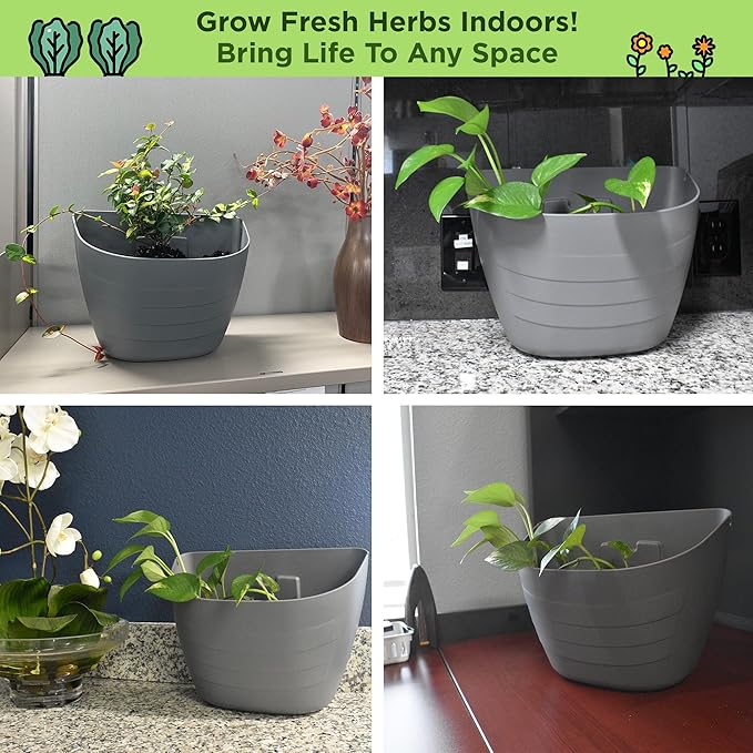 12 Inch Self-Watering Wall Planter for Indoor & Outdoor Use – Vertical Hanging Planter, BPA-Free, UV-Resistant – Perfect for Flowers, Herbs & Vegetables (Black, Without Plug)
