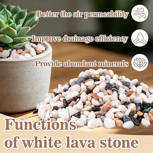 Sukh Mixed Color Pebbles for Succulent and Cactus - 420G 1/5 Inch Succulent Cactus Gravel Pebbles,Natural Decorative Polished River Stones,Small Rocks for Outdoor Gardening,Vases,Landscaping,Fish Tank