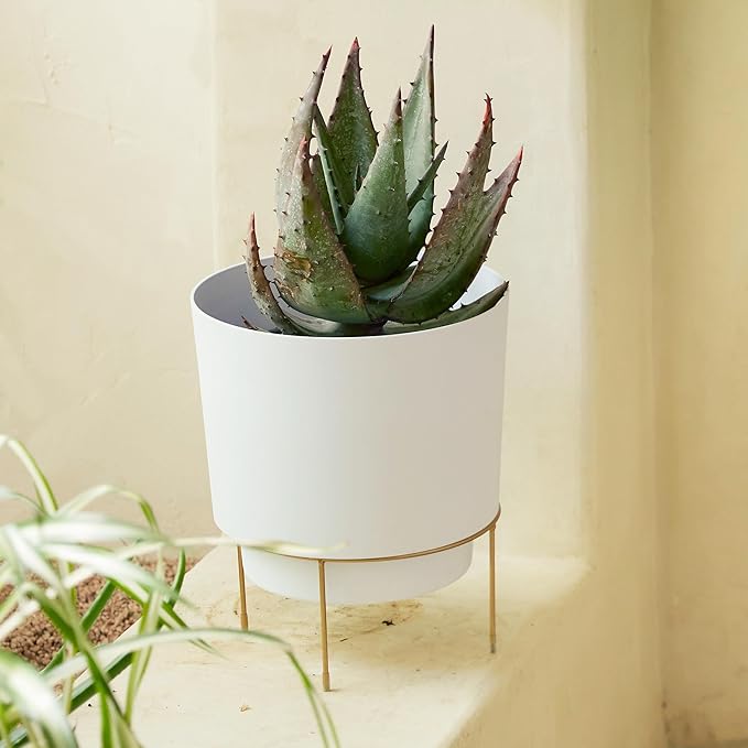 Bloem Hopson Decorative Resin Cachepot with Metal Stand, 10" Indoor and Outdoor Planter with Gold Metal Stand, White