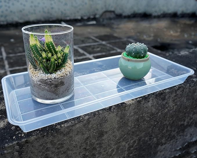 2 Pack Plastic Plant Saucer, Rectangular, Indoors Outdoor, Water Drip Tray for Flower Pot, Windowsill (5.5 x 10 Inch, Clear)