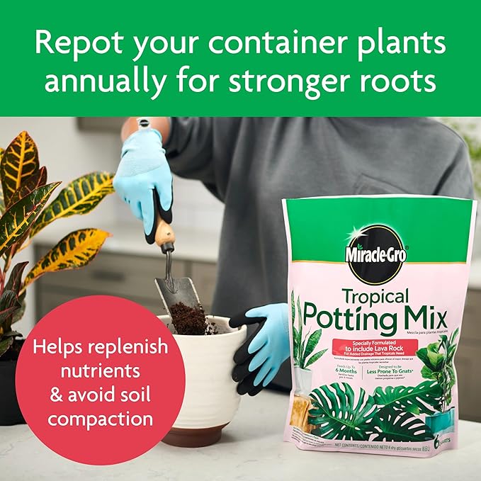 Miracle-Gro Tropical Potting Mix, for Container Plants, Use with Snake Plants, Spider Plants, Pothos, Monstera, 6 qt., 12-Pack