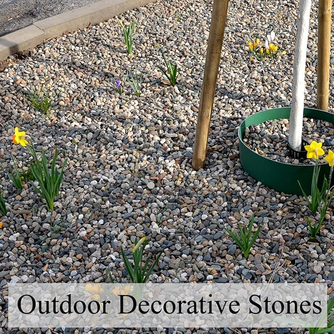 20 lbs Natural Fish Tank Gravel,1/4 Inch Pea Gravel. Mixed Color River Rocks for Aquarium, Succulent, Vase, Cactus Bonsai, Plant Soil Cover and Outdoor Landscaping Rocks