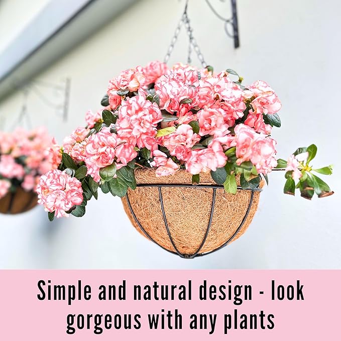 LaLaGreen Hanging Baskets (8 Inch, 10 Pack) Small Hanging Planter with Coco Liner Round Flower Pots, Black Outdoor Planters Basket Metal Wire Holder Hook Deck Porch Modern Garden Balcony Decorations