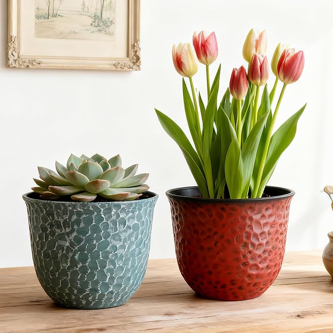 Worth Garden Plastic Round 8 Inch Planters for Indoor Plants Set of 6 Outdoor Resin Flower Pots Colorful with Drainage Hole Rubber Plug Retro Appearance Home Christmas Decorative Containers Multicolor