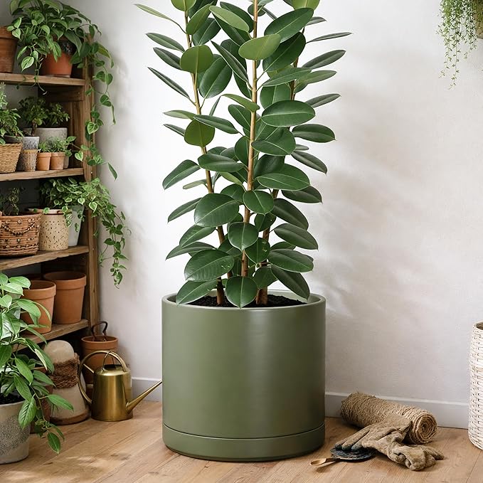 D'vine Dev 16 Inch Ceramic Planter Pot with Drainage Hole and Saucer, Indoor Cylinder Round Planter Pot, Olive, 94-O-H-J