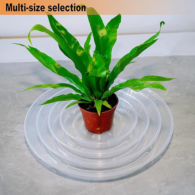 10 Packs Plant Saucer Pot Tray, 6 8 10 inch Clear Flower Planter Saucers and Drip Trays, Plastic Flower Planter Saucers for Indoors Outdoors, Heavy Durable Plant Plate Water Catcher
