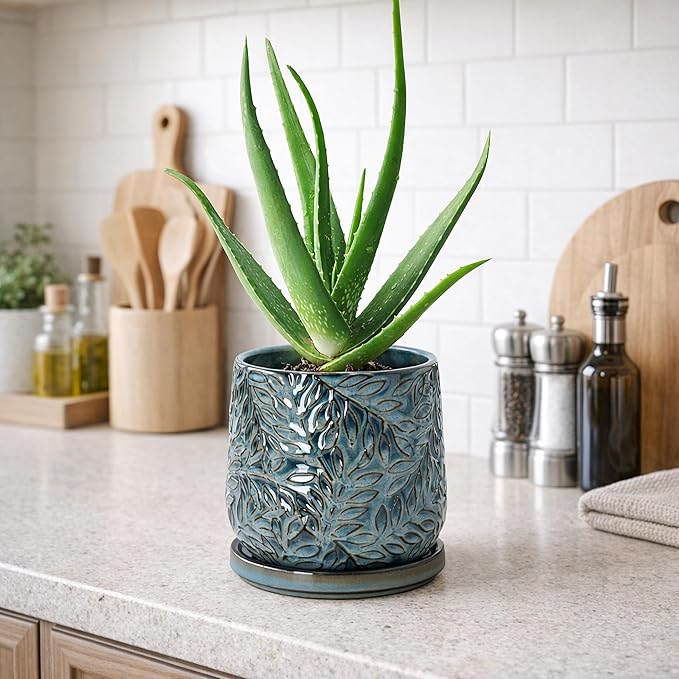 D'vine Dev 5 Inch Embossed Leaves Stoneware Planter Pot with Drainage Hole and Saucer, Ocean Teal, 27-A-V-8