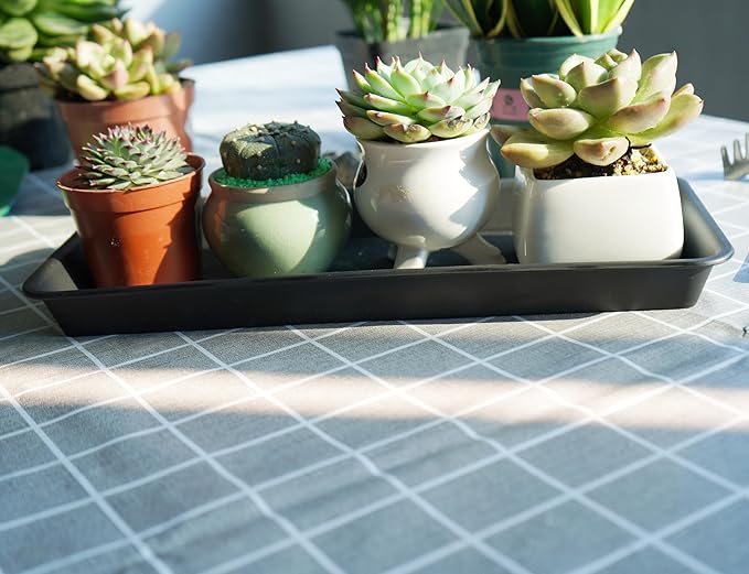 2 Pack of Plastic Plant Tray Saucer Rectangular 14 inch, Plant Trays Saucers for Indoors Outdoor, Plant Water Drip Tray for Flower Pot Planter, Windowsill Plant Tray (6.8 X 14.5'', Black)