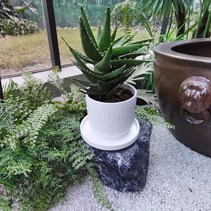 Ceramic Plant Saucer 7 Inch, 2 Pack Round Plant Trays for Indoors/Outdoors, Flower Pot Saucers for Holding Water Drips and Soil, Ceramic Drainage Tray for Plant Pot (Frosted White)