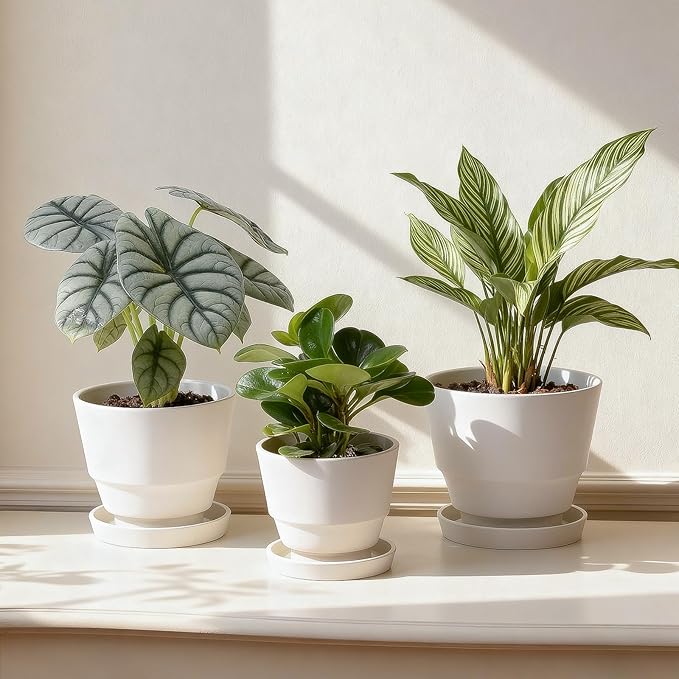 Bamworld Plant Pots Planters for Indoor Plants Flower Pots with Drainage Holes 3.5/4.9/6.3 Inch Set of 3 Plastic Planters for Outdoor Plants Garden Office Room Home Decor Textured White