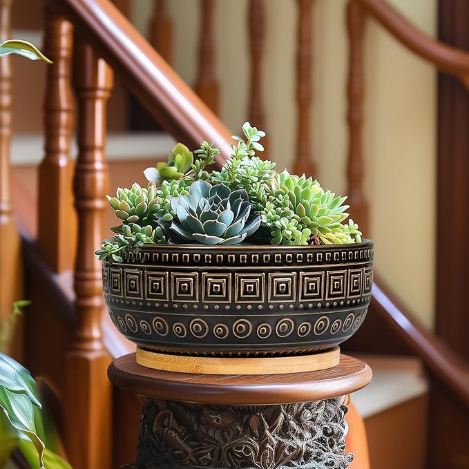 G EPGardening Bonsai Planter - 8 Inch Ceramic Succulent Pots with Drainage and Plant Saucer, Round Shallow Planter Bowl for Indoor Plants Flower, Boho Garden House Decor, Plant Lovers Gifts, Black