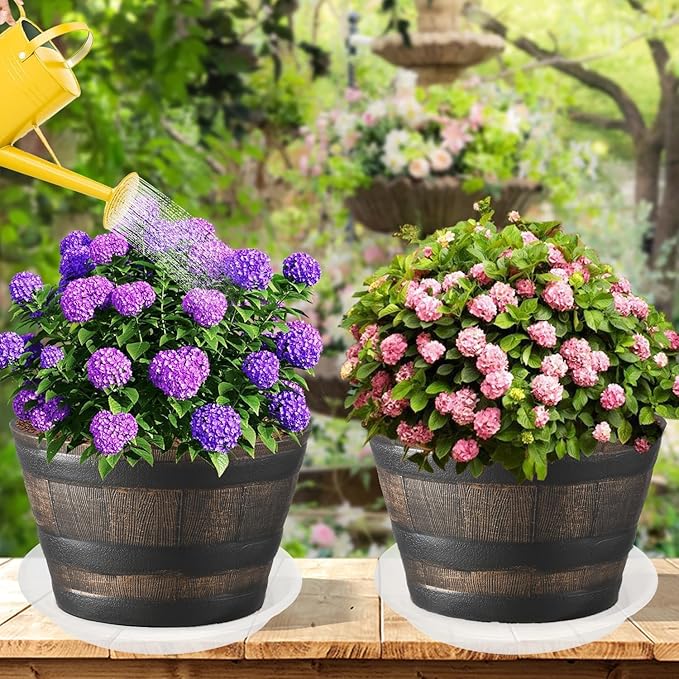 2 Pack of 14 inch Clear Plant Saucer, Plastic Plant Saucer 14 inch, Bird Bath Bowls, Heavy Duty Clear Plant Tray for Pots, Plant Saucers for Indoors Planter, Garden Water Plate 12"/13"/14"