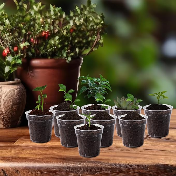 240 Pcs Clear Mini Nursery Pots for Plants, 2 Inch Plastic Seedling Clear Plant Pots with Drainage Holes, Seed Starting Trays for Various Seeds Indoor & Outdoor Flower Planters