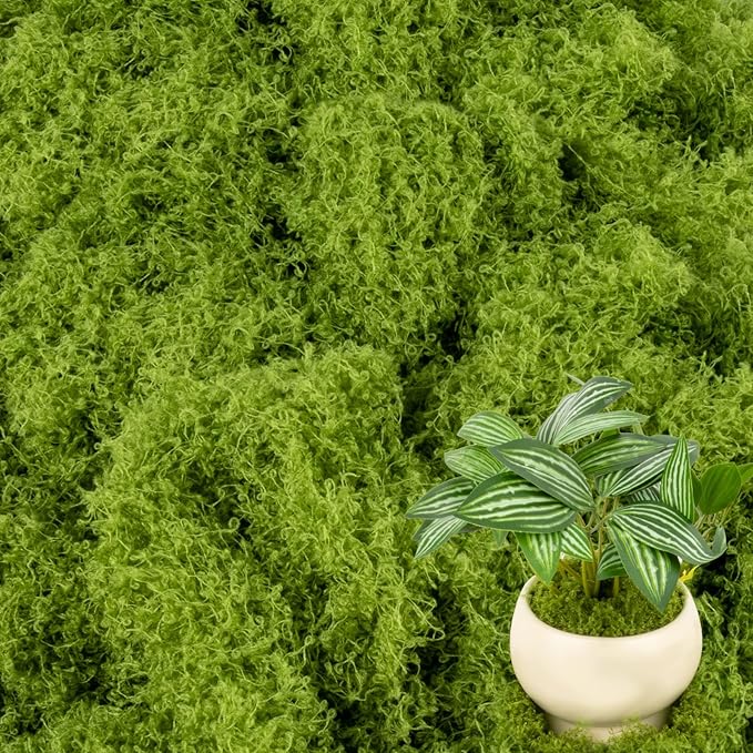 Fake Green Moss - MAQIHAN Artificial Moss for Plants Indoor Faux Grass for Planters Fake Grass Decor for DIY Decorating Craft Art Potted Wedding Accessories Fairy Garden Accessories (3.53 OZ)