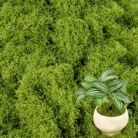 Fake Green Moss - MAQIHAN Artificial Moss for Plants Indoor Faux Grass for Planters Fake Grass Decor for DIY Decorating Craft Art Potted Wedding Accessories Fairy Garden Accessories (3.53 OZ)