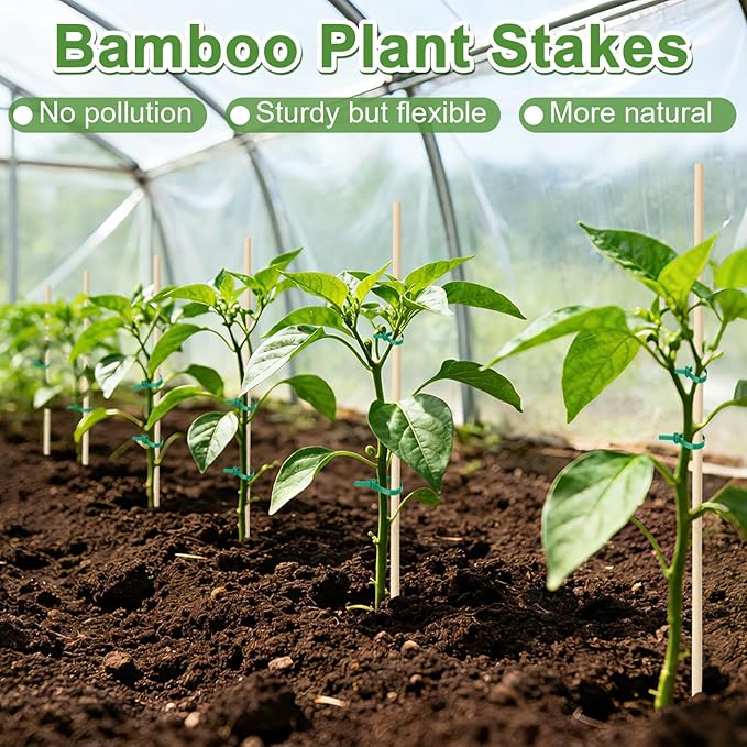 AUGSHY Plant Stakes 18 Inch, 64 PCS Natural Bamboo Garden Stakes for Plants and Plant Support Stakes for Indoor Outdoor Plants Tomato Vegetable Beans Potted Climbing Plants