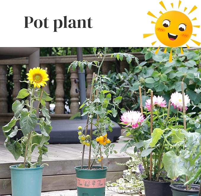 50Pcs Plant Stakes, 4.0 FT Natural Bamboo Garden Stakes, Plant Support Stakes,Bamboo Sticks for Tomato,Beans, Flowers, Vegetable and Climbing Plants