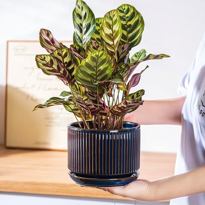 Navy Blue Ceramic Plant Pots Set of 3, 4.3+5.5+6.7 Inch Indoor Flower Pots with Drainage Hole & Saucer & Hole Mesh Pads, Striped Decorative Planter Set for Indoor Plants, Gardening Pots & Accessories